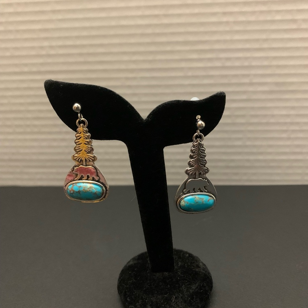Silver and Turquoise Earrings